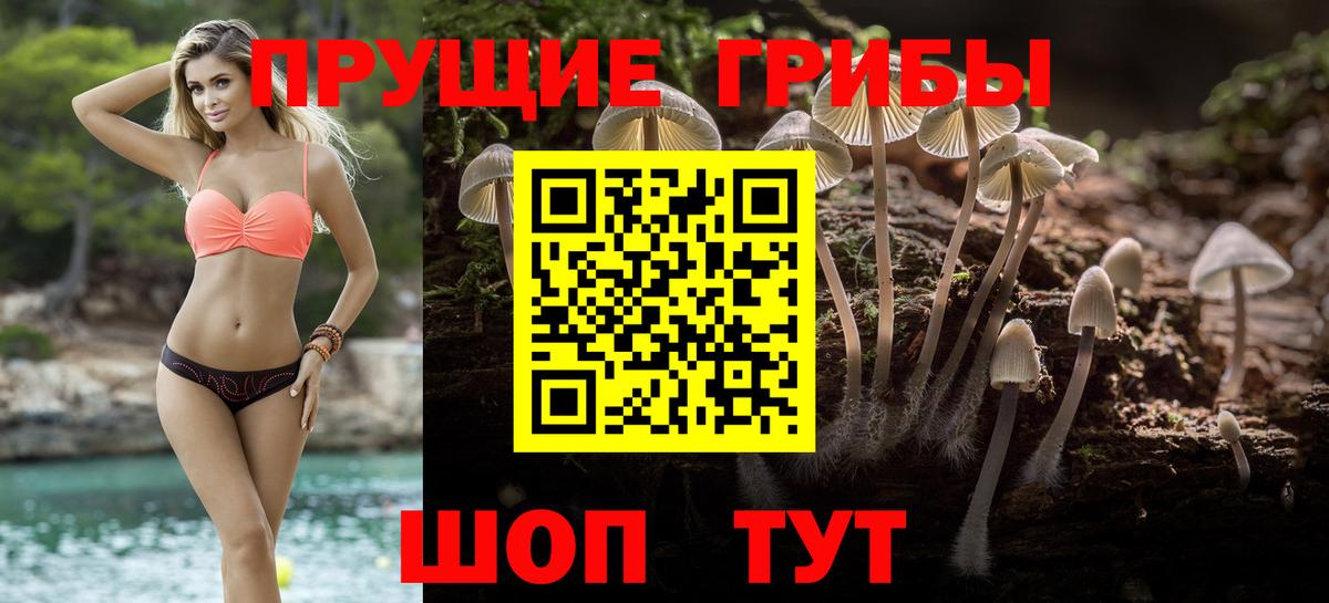 Галлюциногенные грибы ЛСД Нижний Тагил