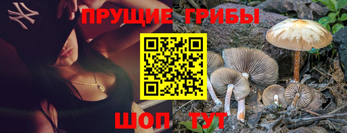 Нижний Тагил  Галлюциногенные грибы Psilocybe  Вход с VPN  Галлюциногенные грибы мухоморы 